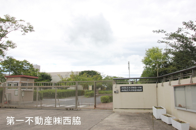 兵庫教育大学附属小学校