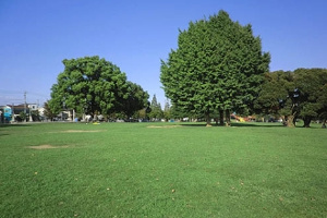 大師公園の画像1