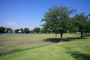 富士見公園の画像1