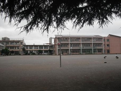 ひたちなか市立佐野小学校