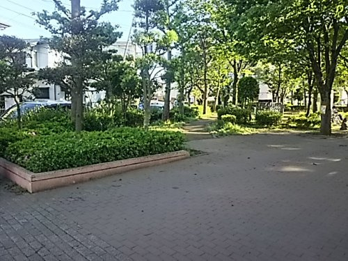 大谷口細野公園