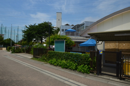 あひる保育園の画像3