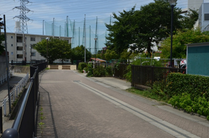 あひる保育園の画像4