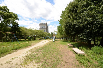 小浜第2公園の画像4