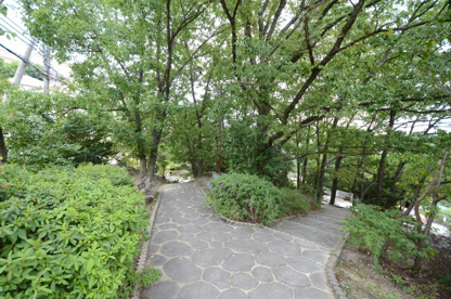 西林公園の画像5