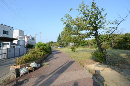 美幸公園の画像3