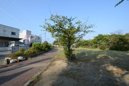 美幸公園の画像4