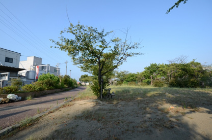 美幸公園の画像5