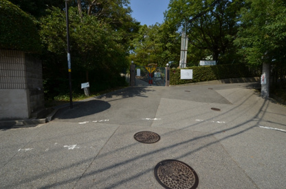 生成幼稚園の画像5