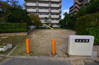 末広公園の画像1