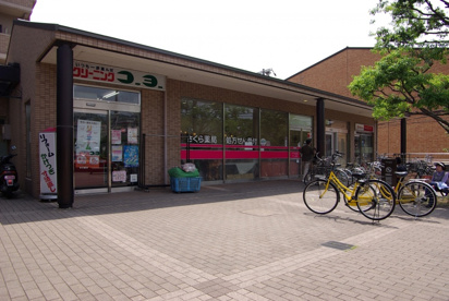 コーヨー清荒神店の画像1