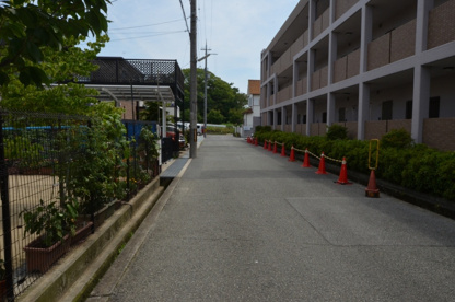 第二あひる保育園の画像5