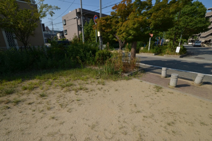 口谷第四公園の画像3