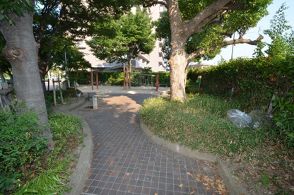 口谷東公園の画像5