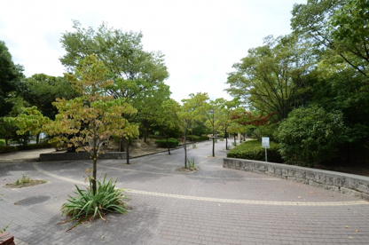 すみれガ丘中央公園の画像1