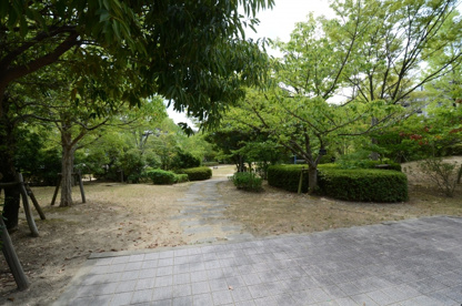 すみれガ丘中央公園の画像3