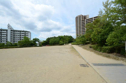 すみれガ丘北公園の画像3