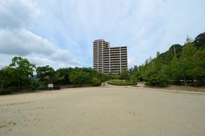すみれガ丘北公園の画像5