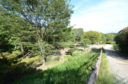 ゆずりは第１公園の画像3
