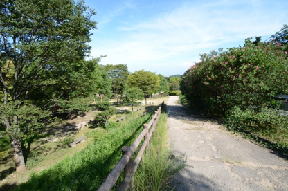 ゆずりは第１公園の画像4