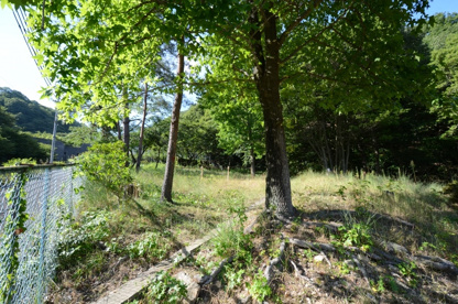 ゆずり葉第２公園の画像4