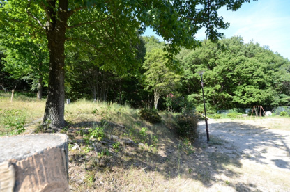 ゆずり葉第２公園の画像5