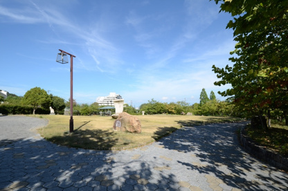ゆずり葉緑地の画像1
