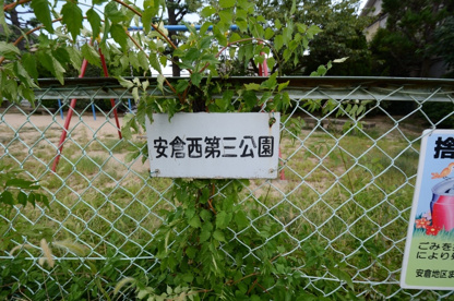 安倉西第３公園の画像1