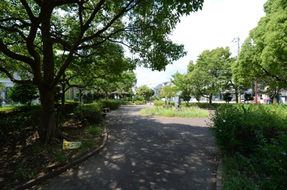 安倉西緑地の画像5