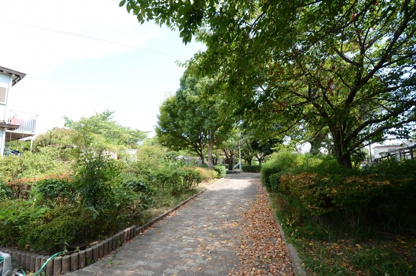 安倉南公園の画像2