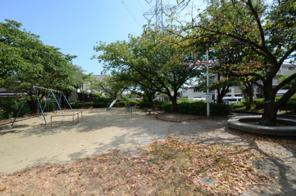 安倉南公園の画像3