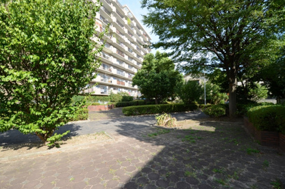 安倉北公園の画像3