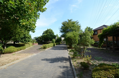安倉北公園の画像5
