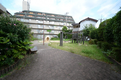 栄町3丁目第１公園の画像3