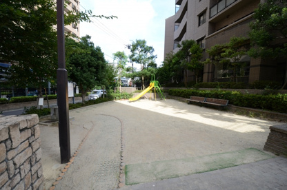 栄町３丁目第3公園の画像3