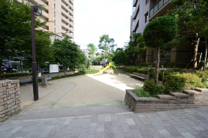 栄町３丁目第3公園の画像4