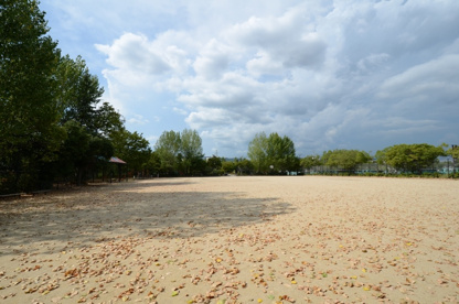 下ノ池公園の画像3