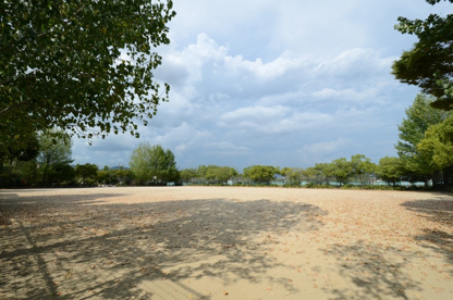 下ノ池公園の画像5