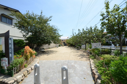 亀井公園の画像2