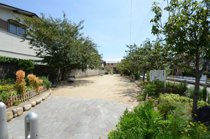 亀井公園の画像3