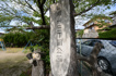 逆瀬台3丁目公園の画像