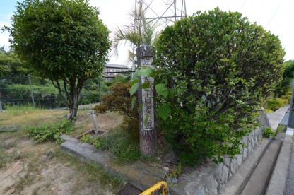 逆瀬台５丁目第3公園の画像1