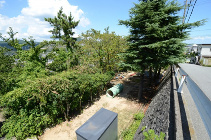 月見山第1公園の画像1