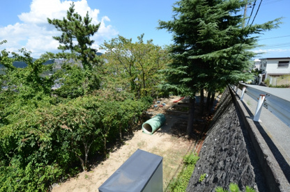 月見山第1公園の画像5