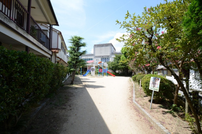 光明第１公園の画像2