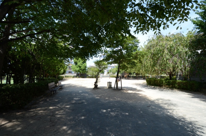 光明第４公園の画像5