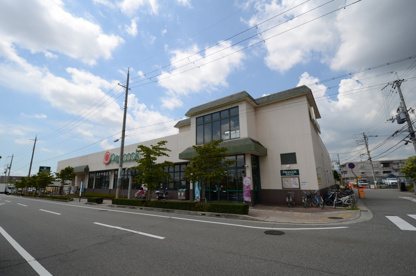 ピーコックストア宝塚中山店の画像1