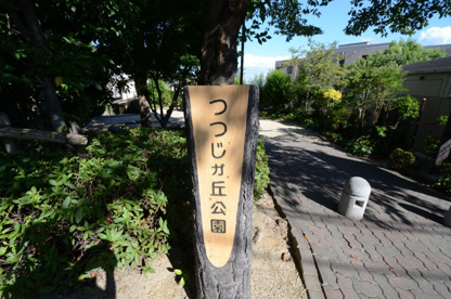 つつじヶ丘公園の画像1