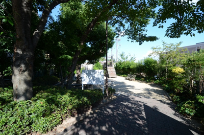 つつじヶ丘公園の画像2