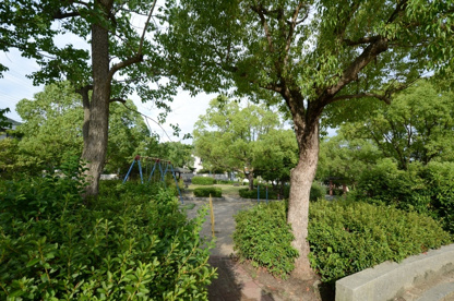 五月台第２公園の画像4
